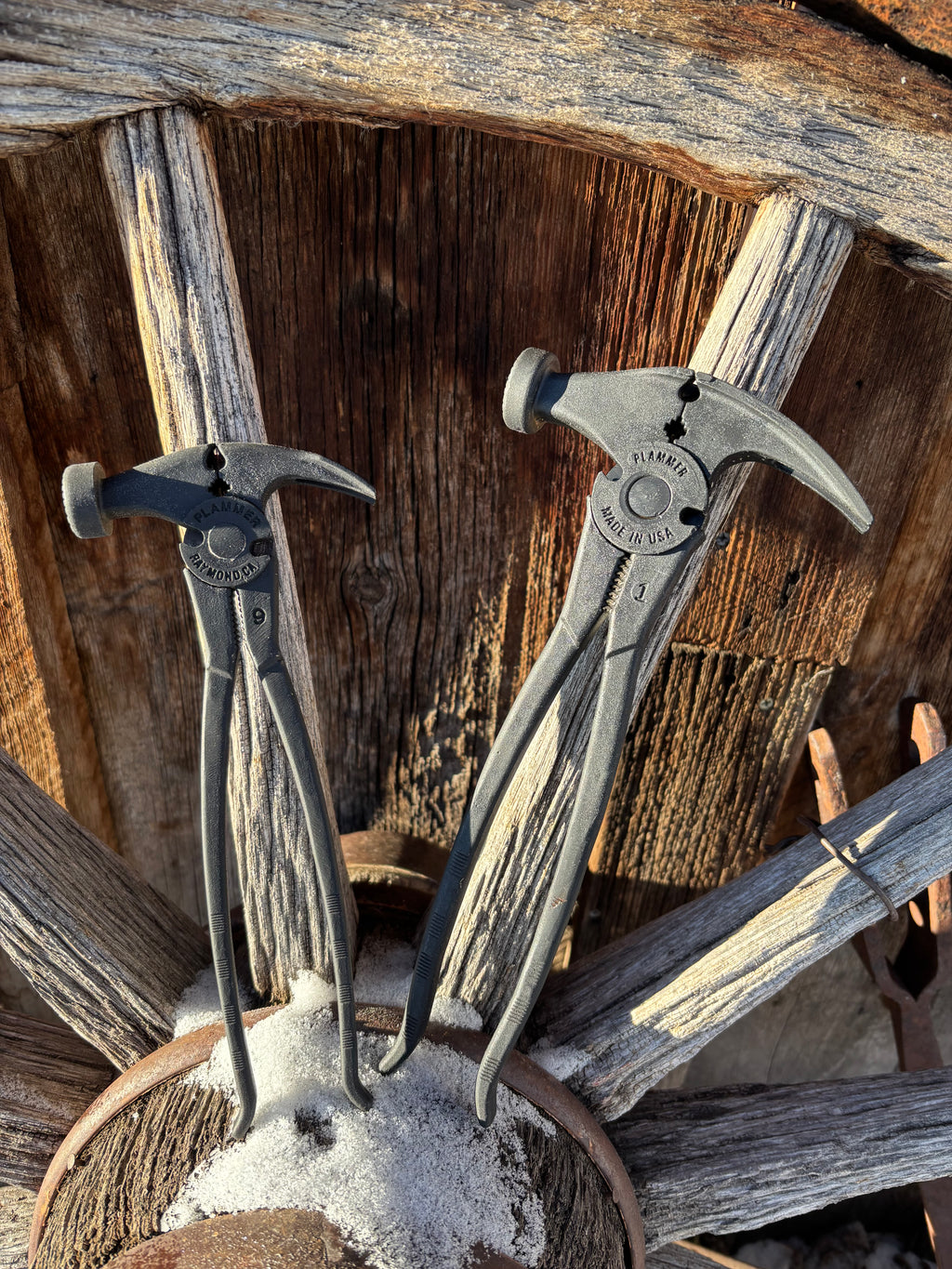 Saddle Plammers
